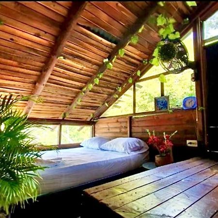 Tamarindo Beach Hostel Таганга Экстерьер фото