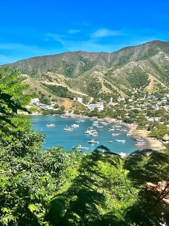 Tamarindo Beach Hostel Таганга Экстерьер фото