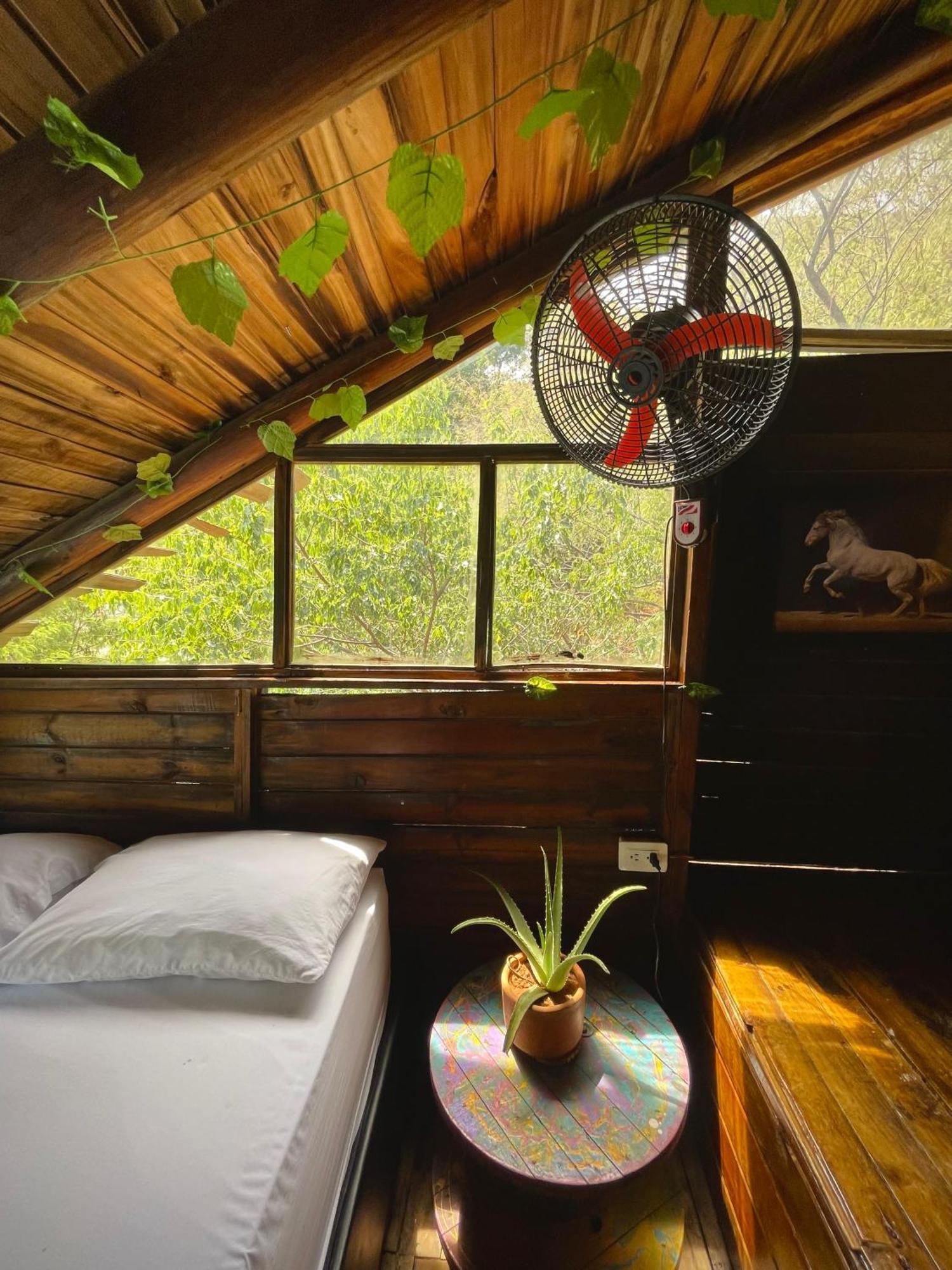 Tamarindo Beach Hostel Таганга Экстерьер фото
