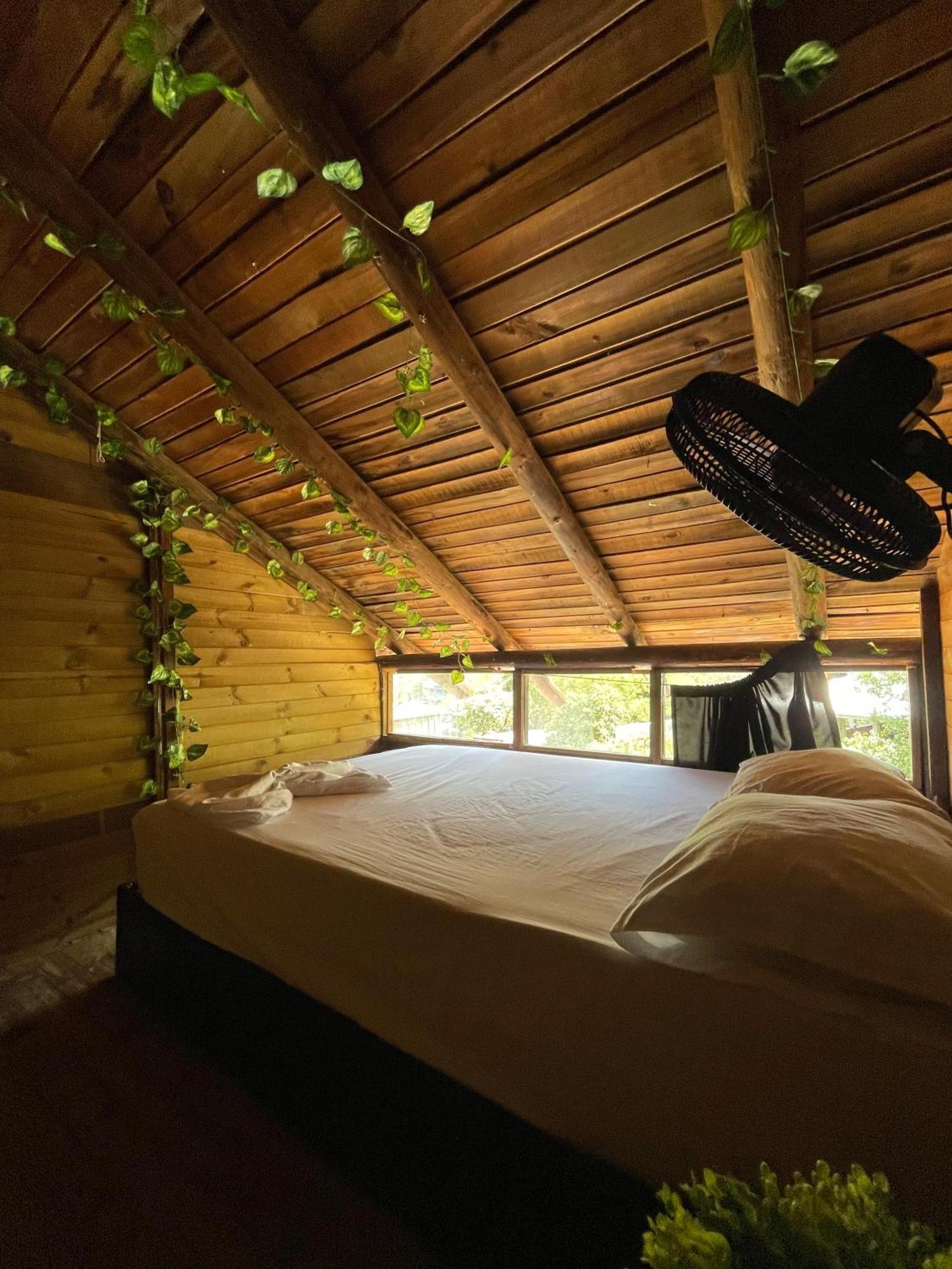 Tamarindo Beach Hostel Таганга Экстерьер фото