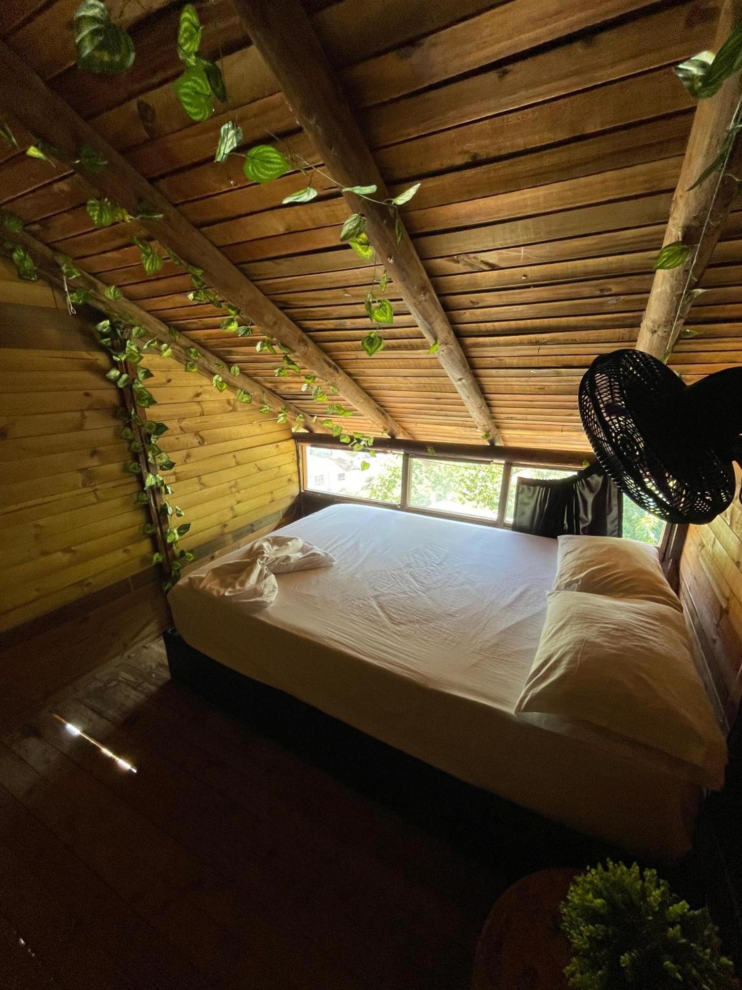 Tamarindo Beach Hostel Таганга Экстерьер фото