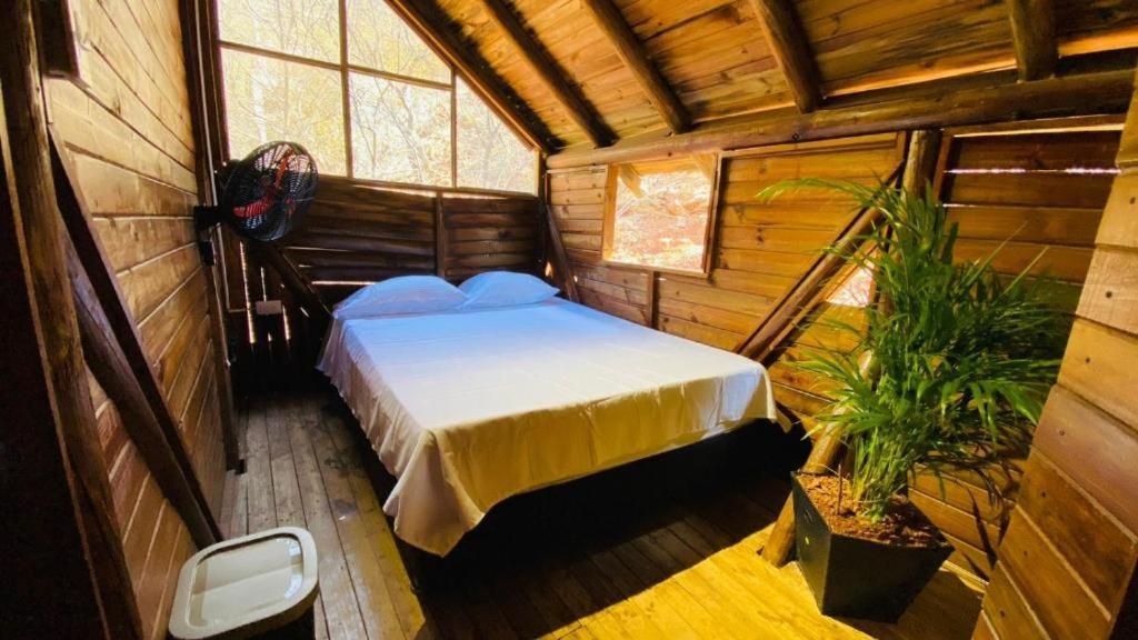 Tamarindo Beach Hostel Таганга Экстерьер фото