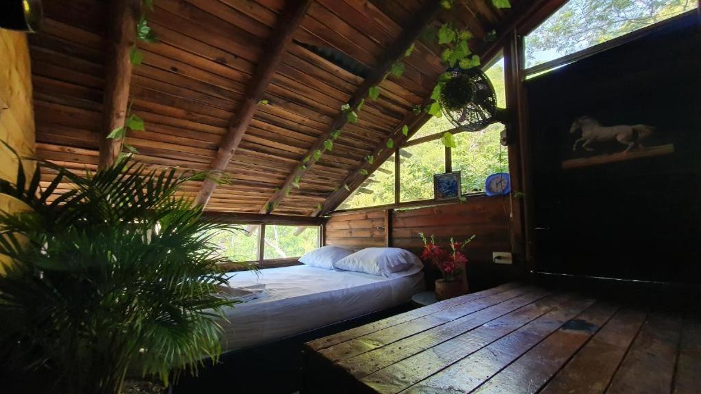 Tamarindo Beach Hostel Таганга Экстерьер фото