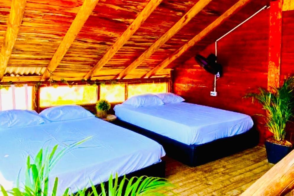Tamarindo Beach Hostel Таганга Экстерьер фото