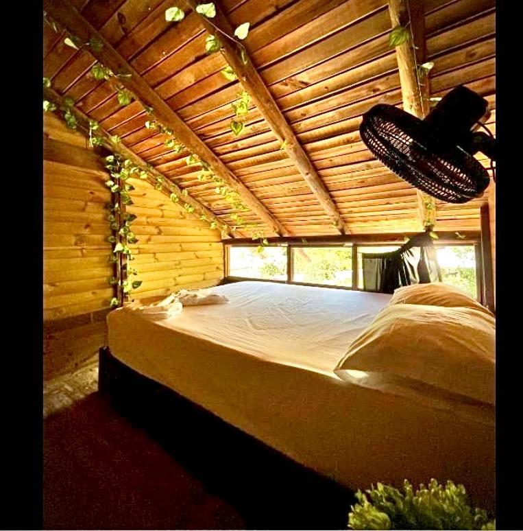 Tamarindo Beach Hostel Таганга Экстерьер фото